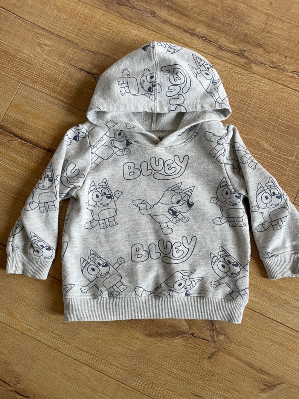 Bluey Grey Hoodie Sweatshirt for Kids